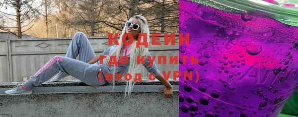МДПВ Гатчина