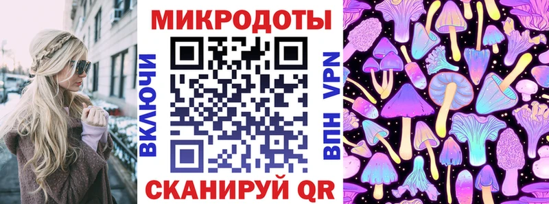 хочу наркоту  Красный Холм  Псилоцибиновые грибы Magic Shrooms 